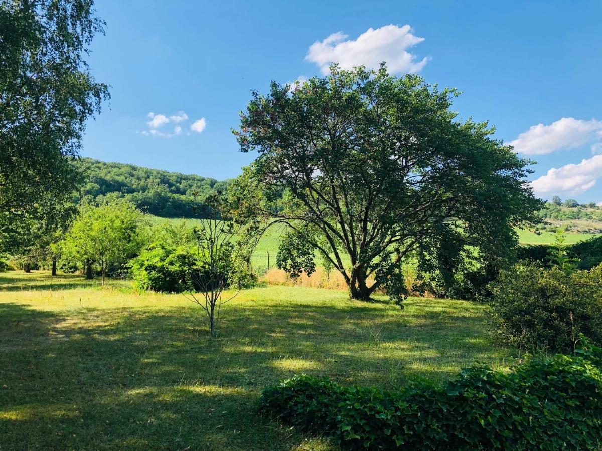 Villa De La Roseraie Rully  Kültér fotó