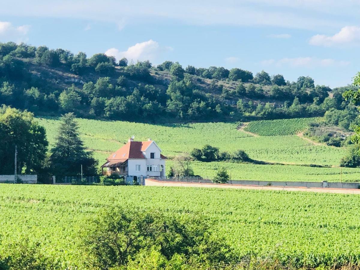 Villa De La Roseraie Rully  Kültér fotó
